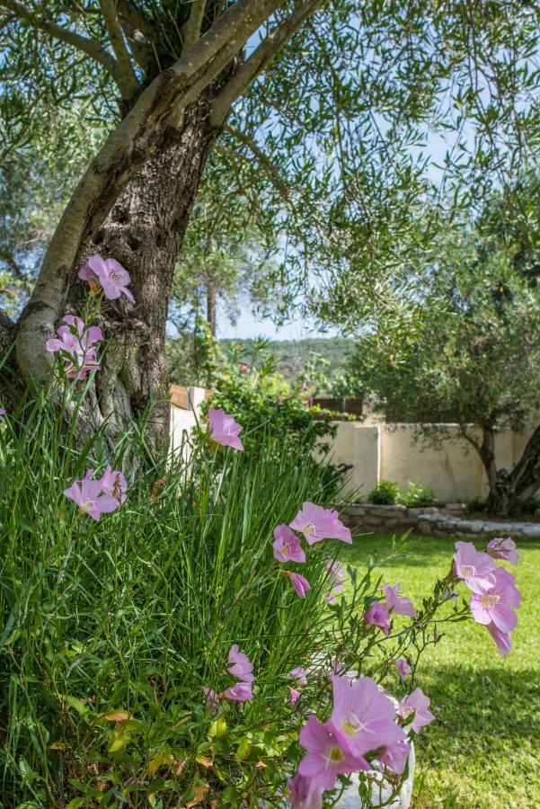 Corfu Villa Linea Línia Eksteriør billede