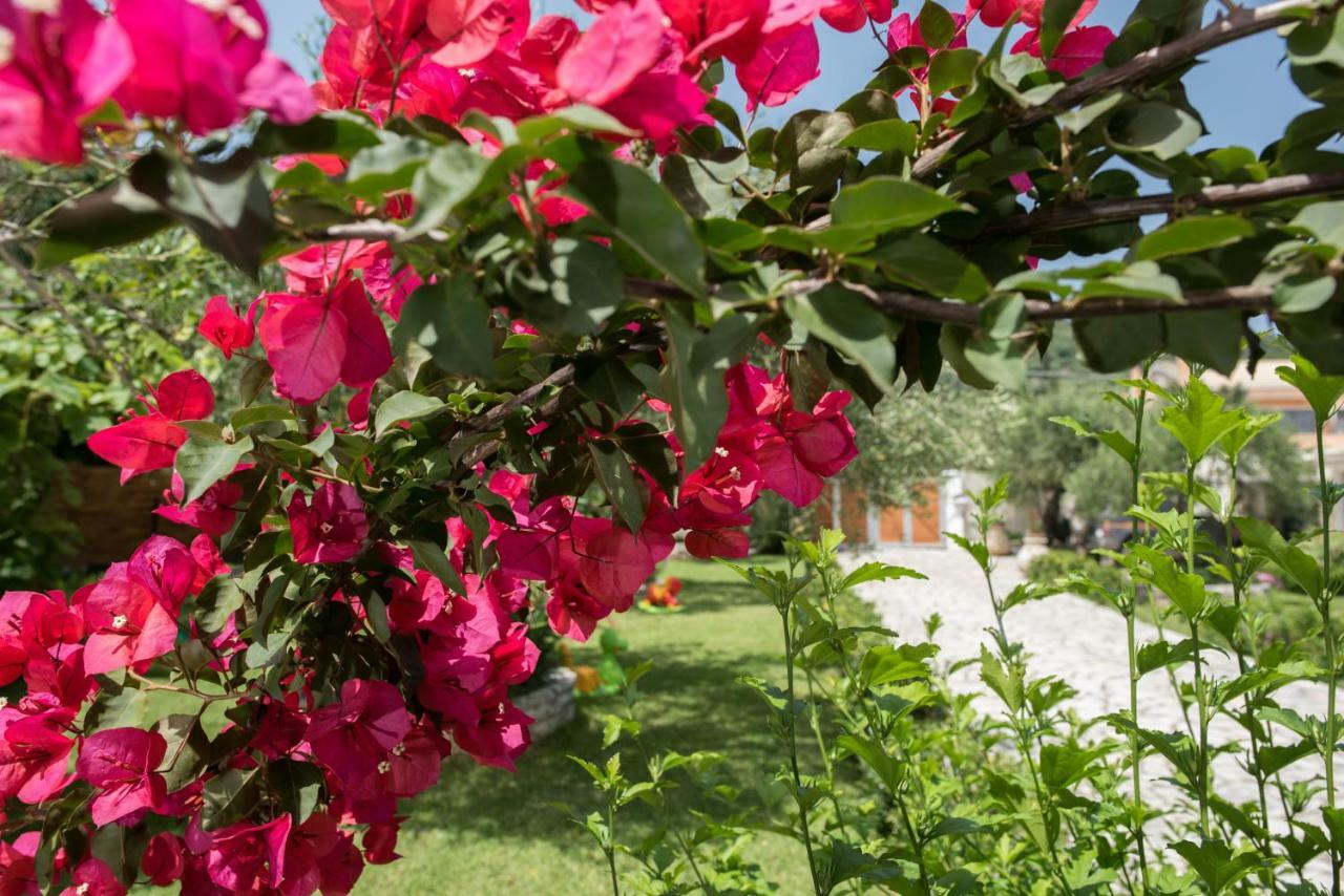 Corfu Villa Linea Línia Eksteriør billede