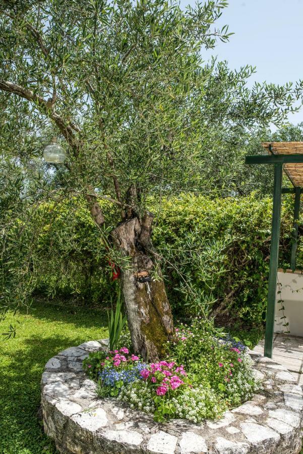 Corfu Villa Linea Línia Eksteriør billede
